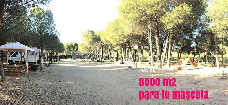 Guardería canina Los Valles