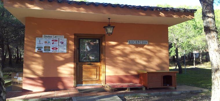 Hotel para perros en Laguna de Duero