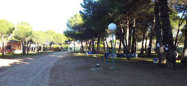 Residencia canina en Valladolid