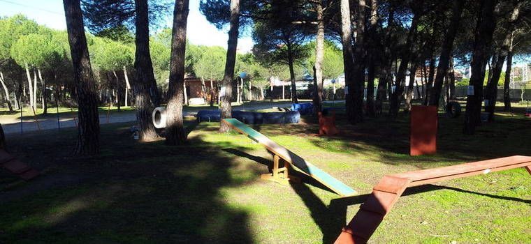 Hotel canino Valladolid